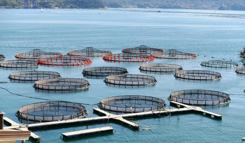 aquaculture aquaculture